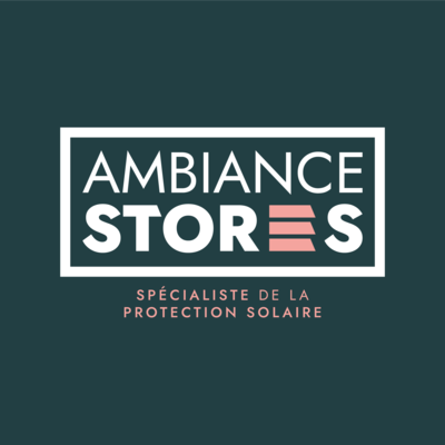 création identité visuelle logo charte graphique papeterie covering réseaux sociaux ambiance stores agence de communication Orléans